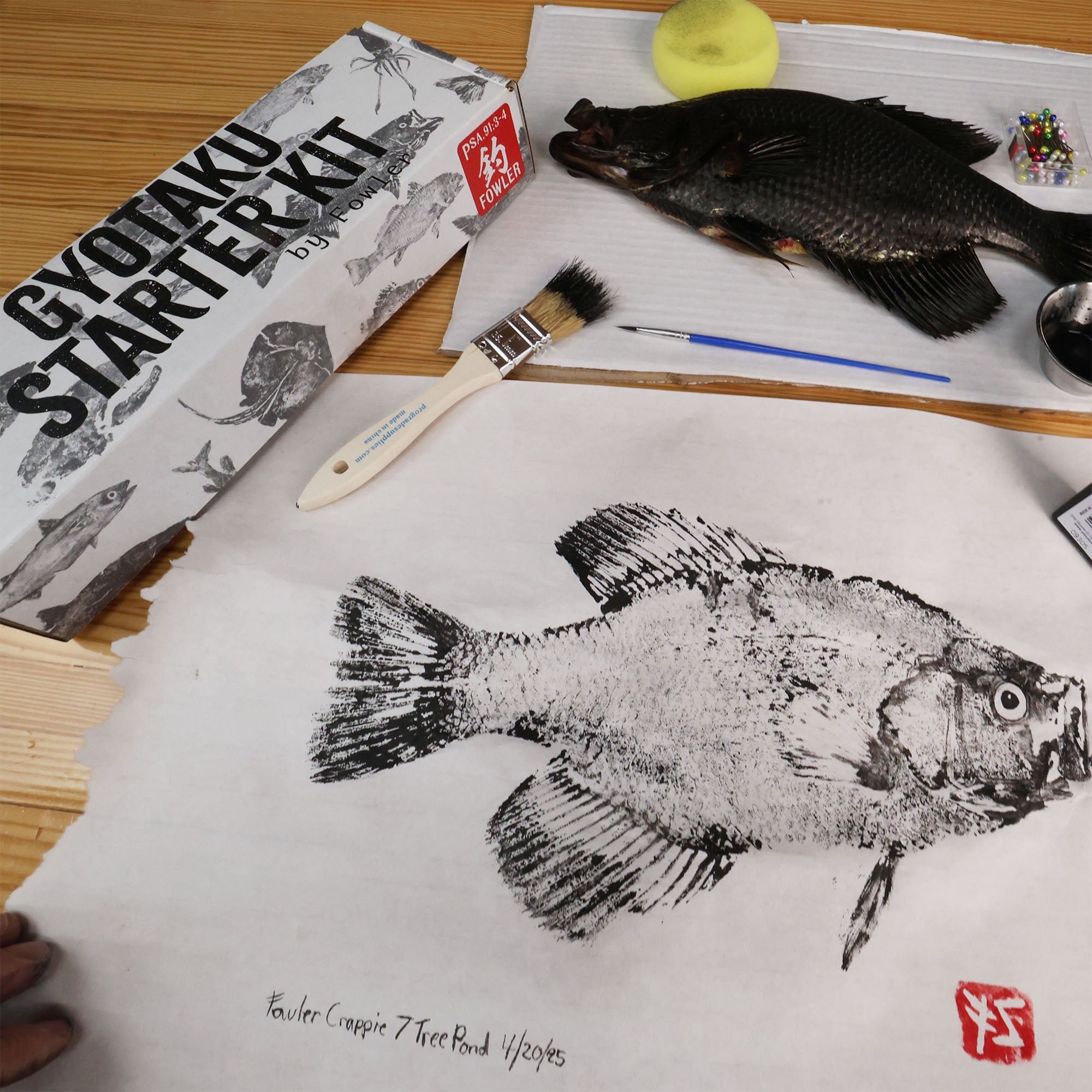 Gyotaku Kit – Fowlers Makery and Mischief