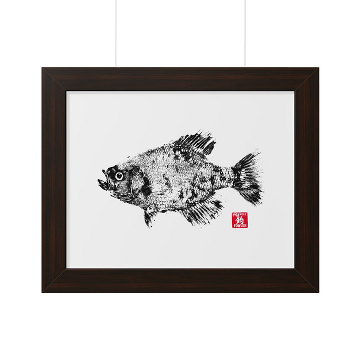 Crappie Gyotaku Framed Print