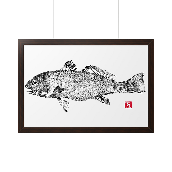 Red Drum Lifesize Gyotaku Framed Print