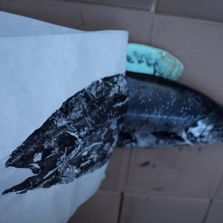 Salmon Gyotaku by Fowler
